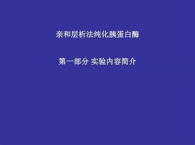 網絡游戲傳奇電影_?；▔艄S(GM科技爆衣)