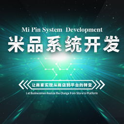清遠防竄貨系統開發定制