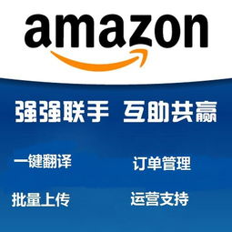 亞馬遜無貨源erp管理系統,嫁接獨立部署服務器貼牌定制