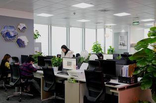 重慶app app開發公司 各行業app定制
