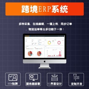 亞馬遜鋪貨ERP管理系統獨立部署服務器OEM貼牌定制