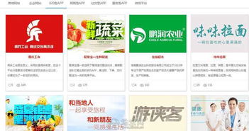 app開發網站建設微信開發軟件開發 南昌網站制作